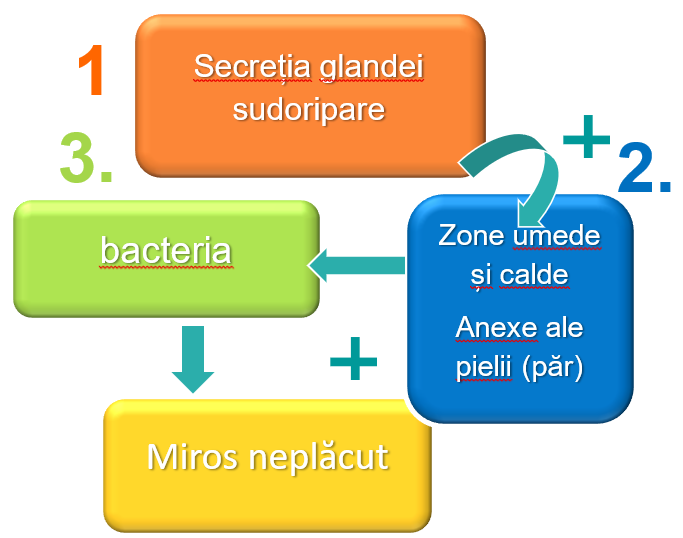 Cum să lupți cu mirosul neplăcut?